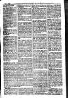 American Settler Saturday 25 December 1880 Page 5