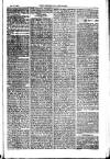 American Settler Saturday 15 January 1881 Page 3