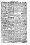 American Settler Saturday 22 January 1881 Page 3
