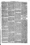 American Settler Saturday 29 January 1881 Page 5