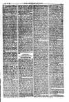 American Settler Saturday 26 February 1881 Page 3