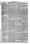American Settler Saturday 26 February 1881 Page 5