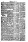 American Settler Saturday 12 March 1881 Page 3