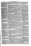 American Settler Saturday 12 March 1881 Page 5