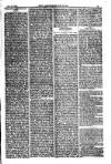 American Settler Saturday 19 March 1881 Page 3