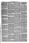 American Settler Saturday 19 March 1881 Page 5