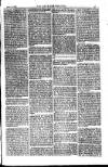 American Settler Saturday 16 April 1881 Page 5