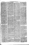 American Settler Saturday 30 April 1881 Page 3