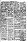 American Settler Saturday 14 May 1881 Page 5