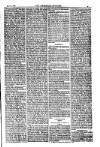 American Settler Saturday 21 May 1881 Page 3