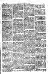 American Settler Saturday 21 May 1881 Page 5
