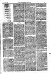 American Settler Saturday 28 May 1881 Page 3