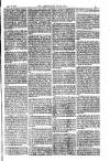 American Settler Saturday 28 May 1881 Page 5