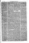 American Settler Saturday 11 June 1881 Page 3