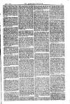 American Settler Saturday 18 June 1881 Page 5