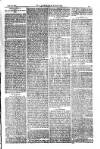 American Settler Saturday 16 July 1881 Page 3