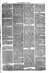 American Settler Saturday 30 July 1881 Page 3