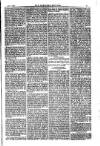 American Settler Saturday 06 August 1881 Page 5