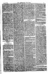 American Settler Saturday 20 August 1881 Page 3