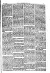 American Settler Saturday 20 August 1881 Page 5