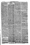 American Settler Saturday 27 August 1881 Page 3