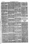 American Settler Saturday 27 August 1881 Page 5