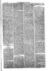 American Settler Saturday 10 September 1881 Page 3