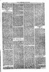 American Settler Saturday 17 September 1881 Page 3