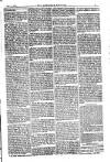 American Settler Saturday 17 September 1881 Page 5