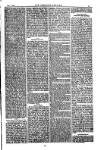 American Settler Saturday 01 October 1881 Page 3