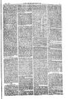 American Settler Saturday 08 October 1881 Page 3