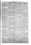 American Settler Saturday 15 October 1881 Page 5