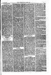 American Settler Saturday 22 October 1881 Page 3