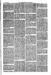 American Settler Saturday 22 October 1881 Page 5