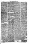American Settler Saturday 29 October 1881 Page 3