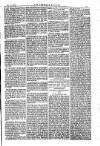 American Settler Saturday 12 November 1881 Page 5