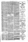 American Settler Saturday 12 November 1881 Page 7