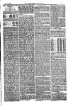 American Settler Saturday 19 November 1881 Page 3