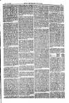 American Settler Saturday 19 November 1881 Page 5