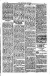American Settler Saturday 19 November 1881 Page 7