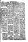 American Settler Saturday 26 November 1881 Page 3