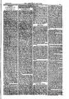 American Settler Saturday 17 December 1881 Page 3