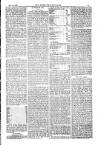 American Settler Saturday 30 September 1882 Page 3