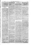 American Settler Saturday 30 September 1882 Page 7