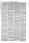 American Settler Saturday 14 October 1882 Page 5