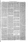 American Settler Saturday 21 October 1882 Page 5