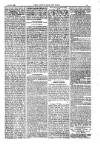 American Settler Saturday 28 October 1882 Page 7