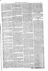 American Settler Saturday 02 December 1882 Page 5