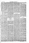 American Settler Saturday 16 December 1882 Page 3