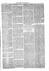 American Settler Saturday 16 December 1882 Page 5